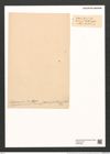 Glyphodesmis wiliamsonii (Greg.) Grun. (de-Toni-Nr.: Genus 81, Species 2888) Zeichnungen Sammlung Grunow (NHMW-BOT-W0374298)